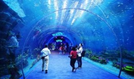 海洋赛季爆料视频下载