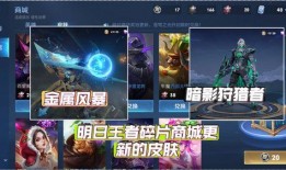 王者碎片最新爆料图,神秘英雄即将登场，游戏格局再掀风云