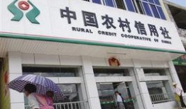 镇平农信社最新爆料新闻,揭秘金融领域新动态